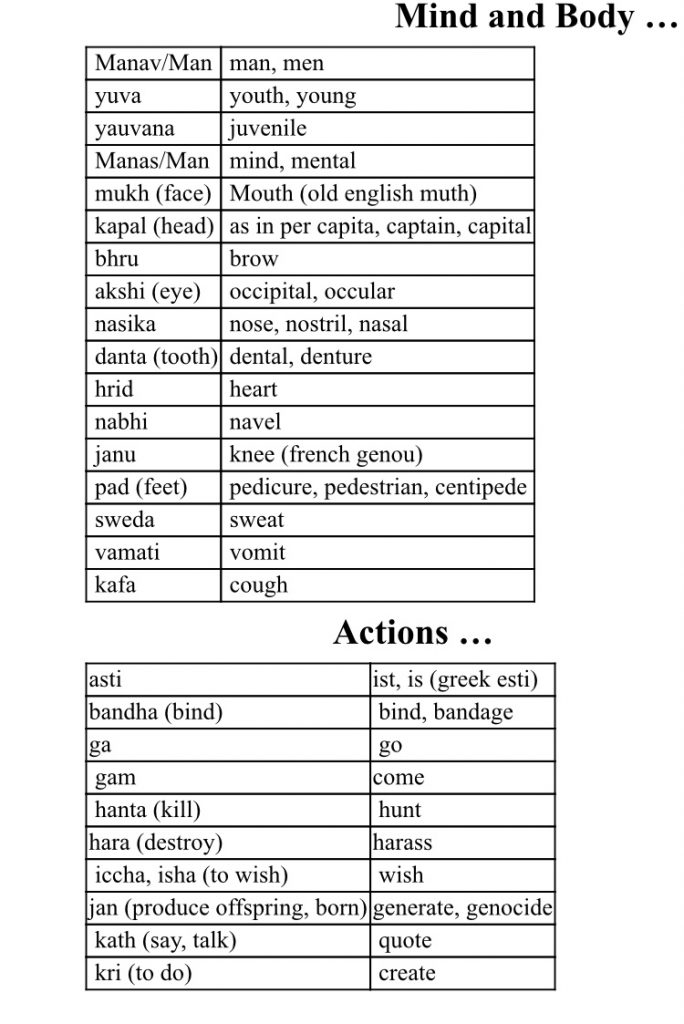 European languages originated from sanskrit