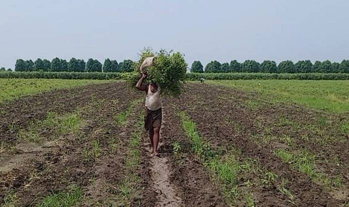 राजस्थान के संशोधित कृषि कानून- बेकार साबित हो रही कवायद