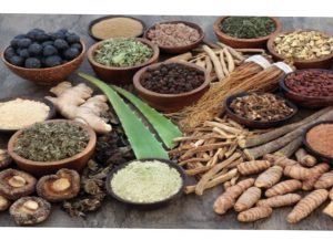 Ayurveda – the Most Ancient and Holistic Health Science