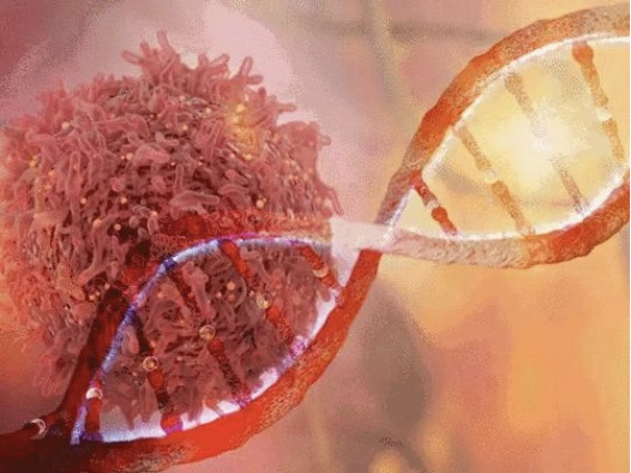 कैंसर रोगियों को मिल सकती है कीमोथेरैपी से मुक्ति, नई दवा से जगी आस