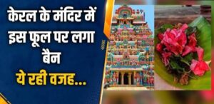 केरल के मंदिरों में भगवान को कनेर के फूल अर्पित करने पर रोक