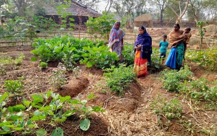 पत्तेदार सब्जियां बनीं जनजातीय महिलाओं की आजीविका का प्रमुख स्रोत